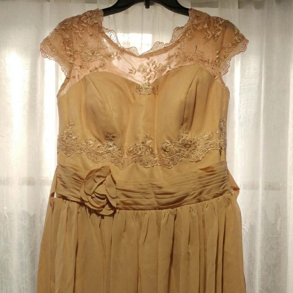 Dusty rose NEVER WORN dress